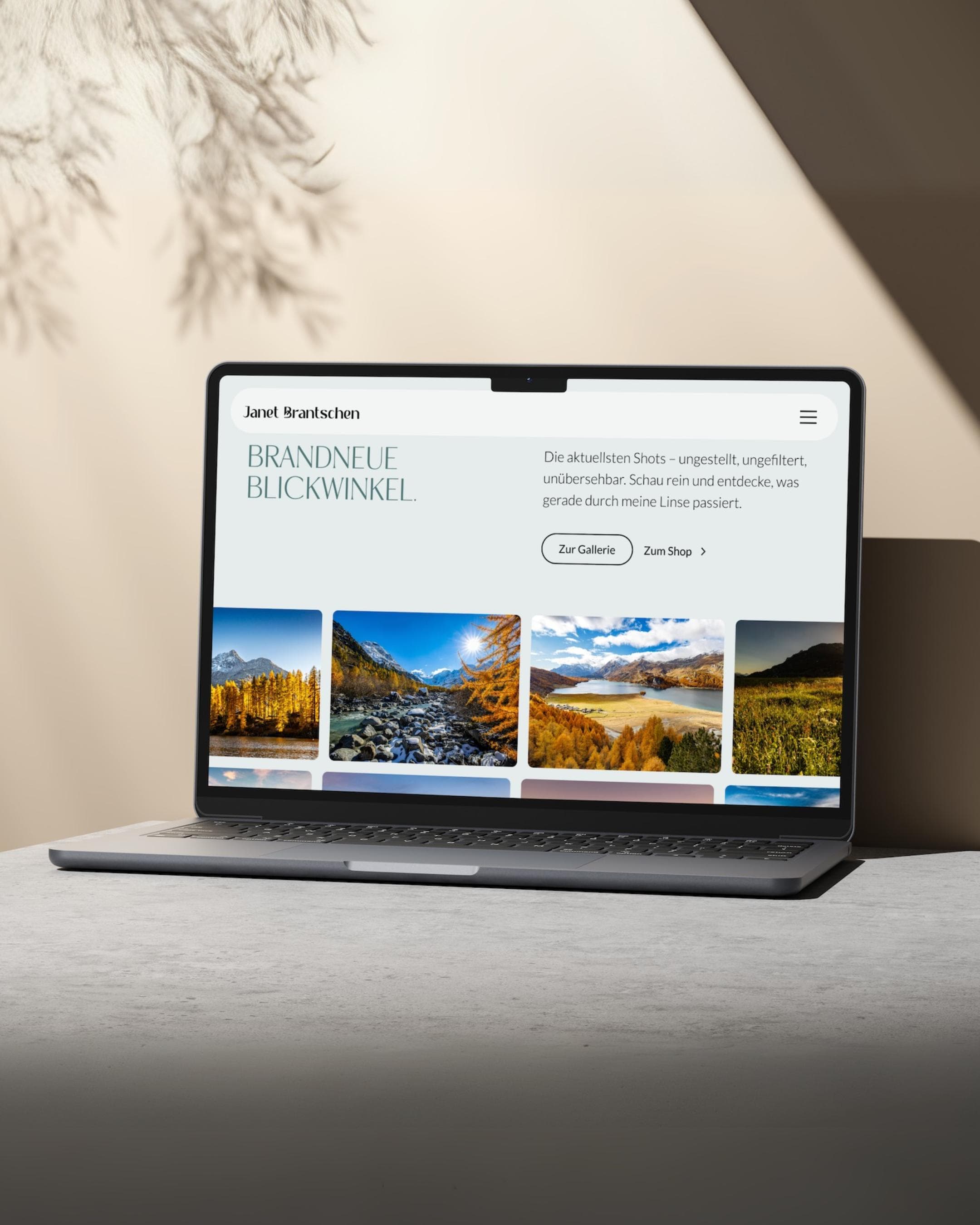 The New Website