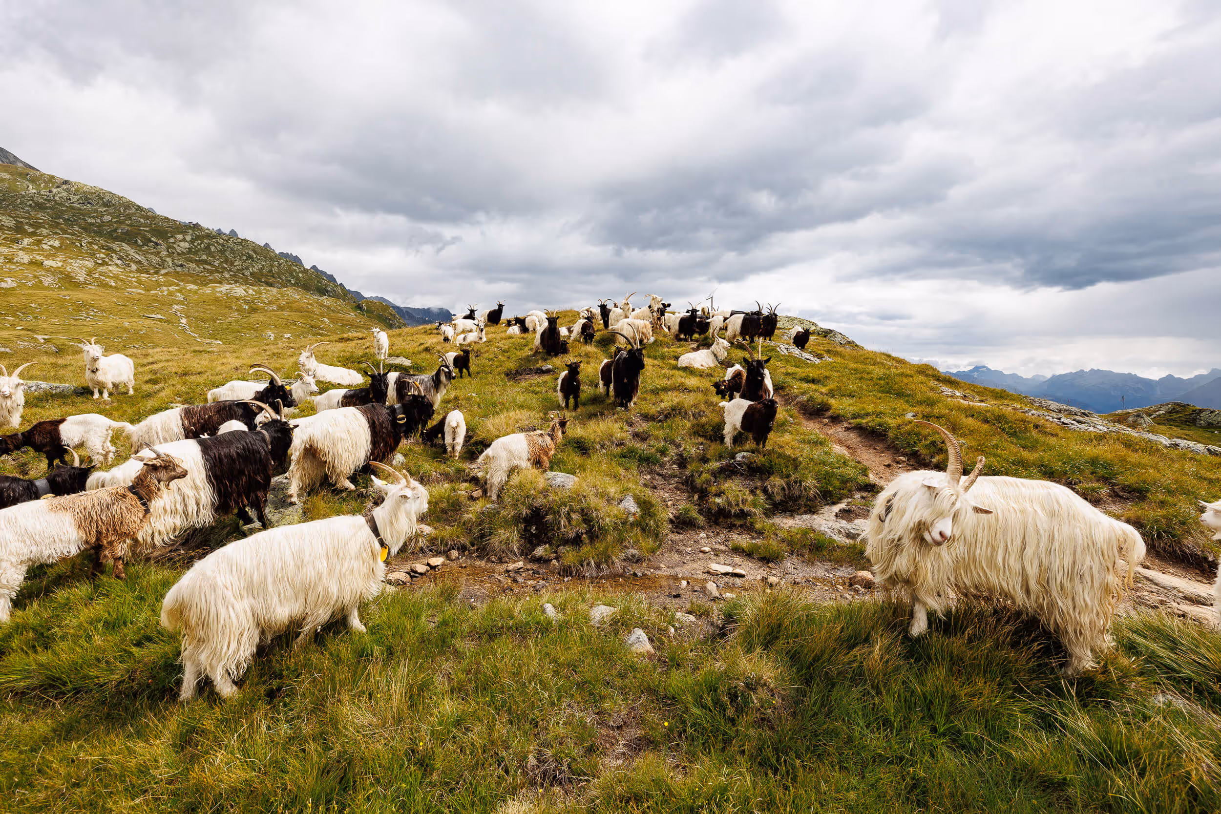 Valais is waiting for you.