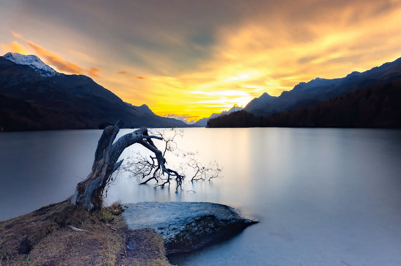 Goldener Himmel über dem Silsersee mit Baumstamm am Ufer