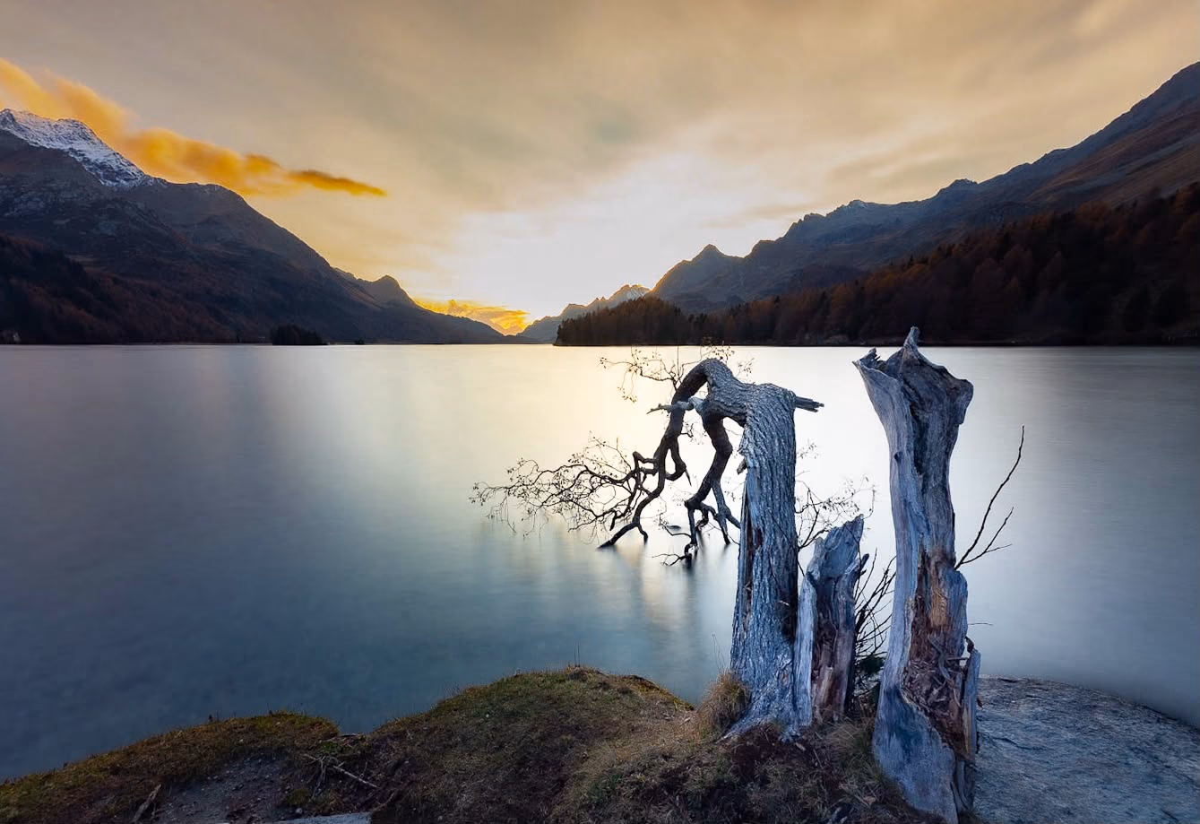Langzeitbelichtung am Silsersee mit Treibholz im Abendlicht