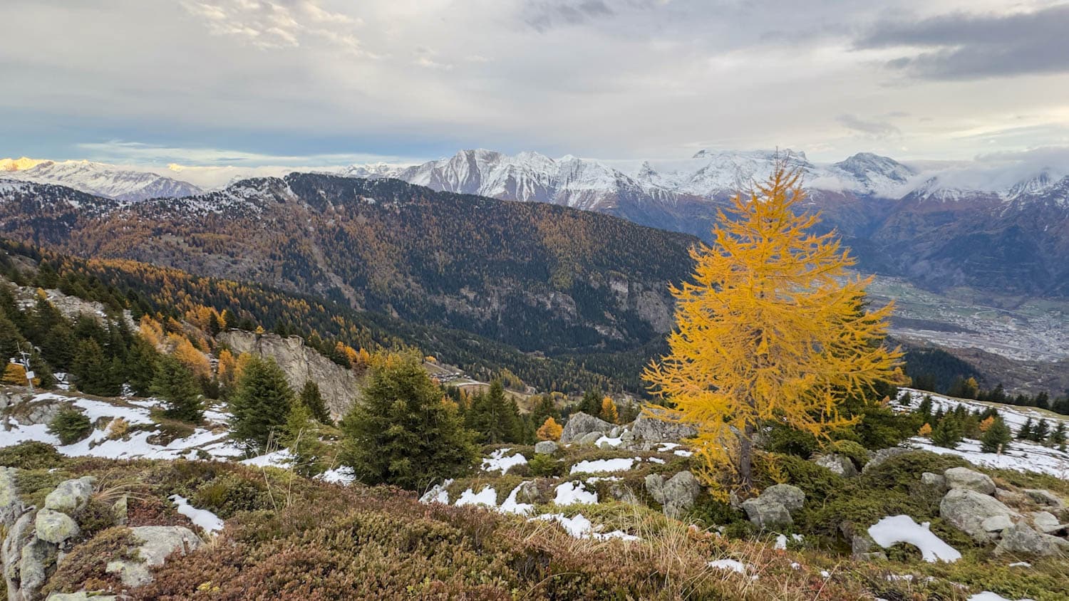 Blick ins Rhonetal mit gelber Lärche